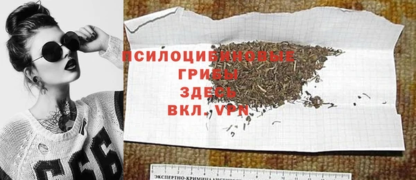 бошки Армянск