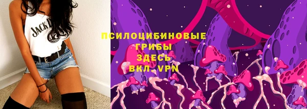 твердый Арсеньев