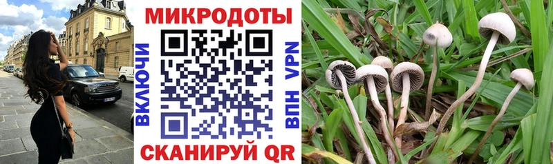 Псилоцибиновые грибы GOLDEN TEACHER Белозерск